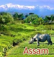 Assam Meghalaya and Arunachal Pradesh Tour